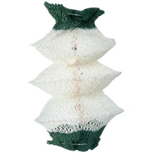 Coleman(コールマン) 2500ノーススターLPガスランタン 最大1543ルーメン レッド 2000015521通販格安セール情報 楽天 通販