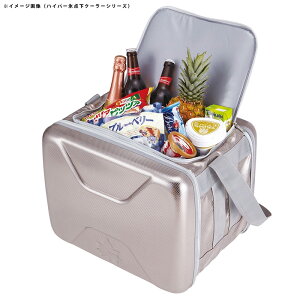 ロゴス(LOGOS) ハイパー氷点下クーラー+倍速凍結・氷点下パックL×2【お得な3点セット】 L R167N002通販格安セール情報 楽天 通販