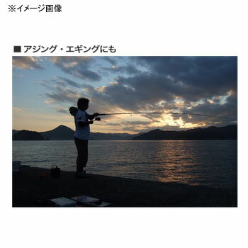 ハピソン(Hapyson) 乾電池式LED 水中集魚灯ミニ YF-510通販格安セール情報 楽天 通販