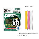 ラインシステム 雷魚 BRITZ PE X8 80m 10号/100lb ホワイト L2291C