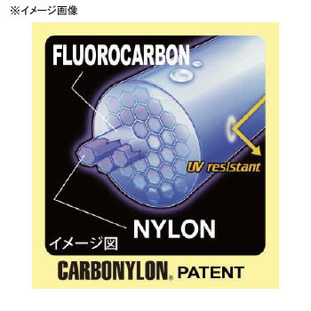 入門向け アオリイカ釣り最強仕掛けヤエン タックル 揃える道具類をまとめてチェック 暮らし の 入門向け アオリイカ釣り最強仕掛けヤエン タックル 揃える道具類をまとめてチェック 暮らし の