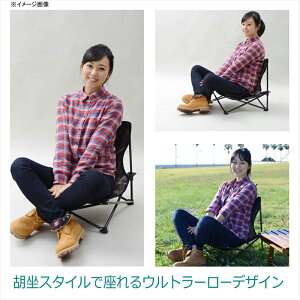 TENT FACTORY(テントファクトリー) スパイダーウルトラローアクションチェア CAT TF-SUL2BR通販格安セール情報 楽天 通販