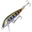 Rapala(ラパラ) CountDown ABACHI(カウント ダウン アバシ) 50mm HYM(ホログラム ヤマメ) CDA5-HYM