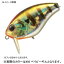 エバーグリーン(EVERGREEN) コンバットクランク TC-60 60mm #50 ベイビーギル 11160050 エバーグリーン(EVERGREEN) コンバットクランク TC-60 60mm #50 ベイビーギル 11160050