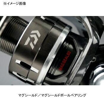 ダイワ(Daiwa) 16キャタリナ 6500H 00059589