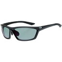 ダイワ(Daiwa) DN-4216H (ポリカーボネイト変色調光偏光グラス) マットブラック ライトグレー 04991591