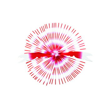 ϥ֥(Hayabusa)  ˥ #1 å HR215