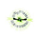 ハヤブサ(Hayabusa) 集寄 カニラバ #5 イエロー HR215