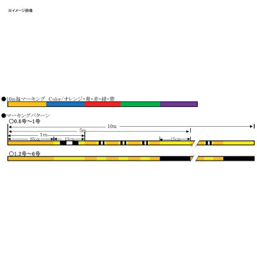 クレハ(KUREHA) シーガーPE X8 150m 0.6号