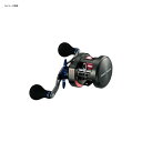ダイワ(Daiwa) ソルティガ BJ 100PL-RM 左巻き 00613717 ダイワ(Daiwa) ソルティガ BJ 100PL-RM 左巻き 00613717