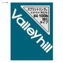 バレーヒル(ValleyHill) スプリットリング EX.スタウト #4