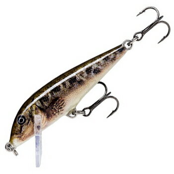 Rapala(ラパラ) カウントダウン 90mm SCPL(ライブハゼ) CD9-SCPL