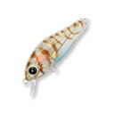 【12/5迄 最大2,000円OFF】 ジップベイツ リッジ 43F L-021(スジエビ)