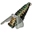スミス(SMITH LTD) 大美蝉(ダイビセン) 43mm 37 マジョーラリブ(4)