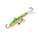 Rapala(ラパラ) Jigging Rap(ジギングラップ) 50mm GT W5-GT