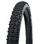 SCHWALBE() ʡۥޡȥ MTB  /ž 262.10 ֥å(ETRTO:54-559) SW-11101178.01