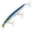 シマノ(SHIMANO) エクスセンス サイレントアサシン 140F AR-C 140mm 001 キョウリンイワシ XM-140N シマノ(SHIMANO) エクスセンス サイレントアサシン 140F AR-C 140mm 001 キョウリンイワシ XM-140N