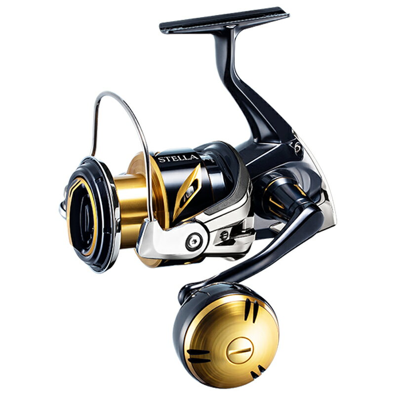 シマノ(SHIMANO) 20 ステラ SW 5000XG 040763