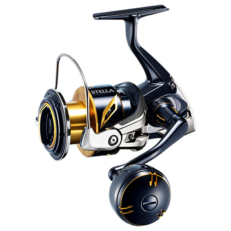 ޥ(SHIMANO)20ƥSW6000HG04078