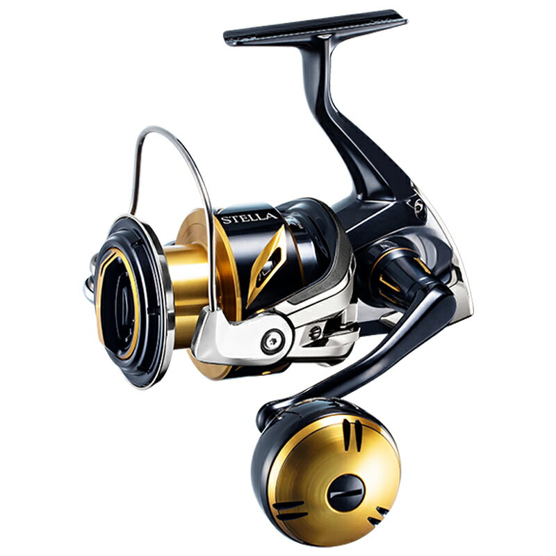 シマノ(SHIMANO) 20 ステラ SW 6000XG 040794