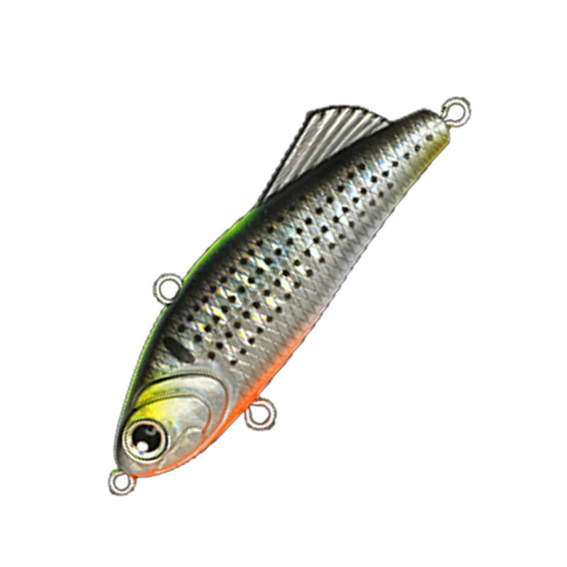 LONGIN(ロンジン) ファンキーダート 55mm S087T コノシロ