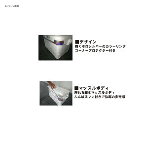 ダイワ(Daiwa) プロバイザーHD ZSS 2100X EX 21L Hシルバー 03302131通販格安セール情報 楽天 通販