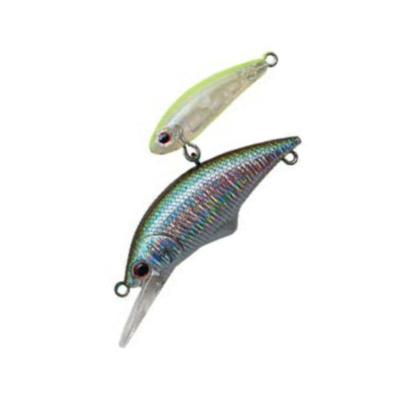 アングラーズリパブリック パームス アレキサンドラ シェード 43mm ST95#5 スメルト#5 AXS-43S