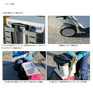 ダイワ(Daiwa) クールラインキャリー2 SU1500 15L ガンメタ 03302191通販格安セール情報 楽天 通販