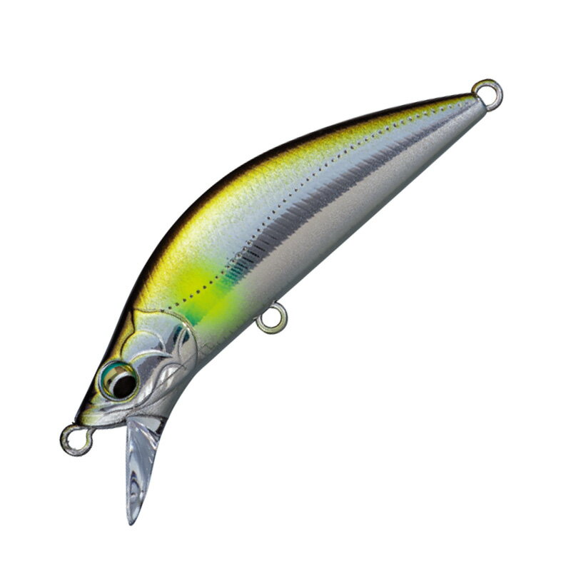 12/5 2,000OFF ᥸㡼ե եơ ǥ H 50mm #07 å EDN-50H