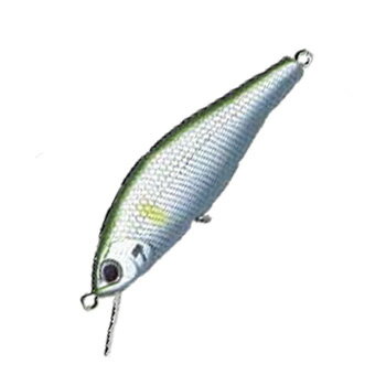 アングラーズリパブリック パームス アレキサンドラ 43FS 43mm MAL-51 マットアユ AX-43FS