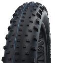 SCHWALBE(シュワルベ) 【正規品】ジャンボジム MTB用 ファットバイク サイクル/自転車 26×4.40 ブラック(ETRTO:110-559) SW...