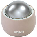 ハタチ(HATACHI) リセットローラーLARGE NH3711