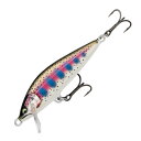 Rapala(ラパラ) カウントダウン エリート 95mm #GDRT ギルディッドレインボートラウト CDE95-GDRT