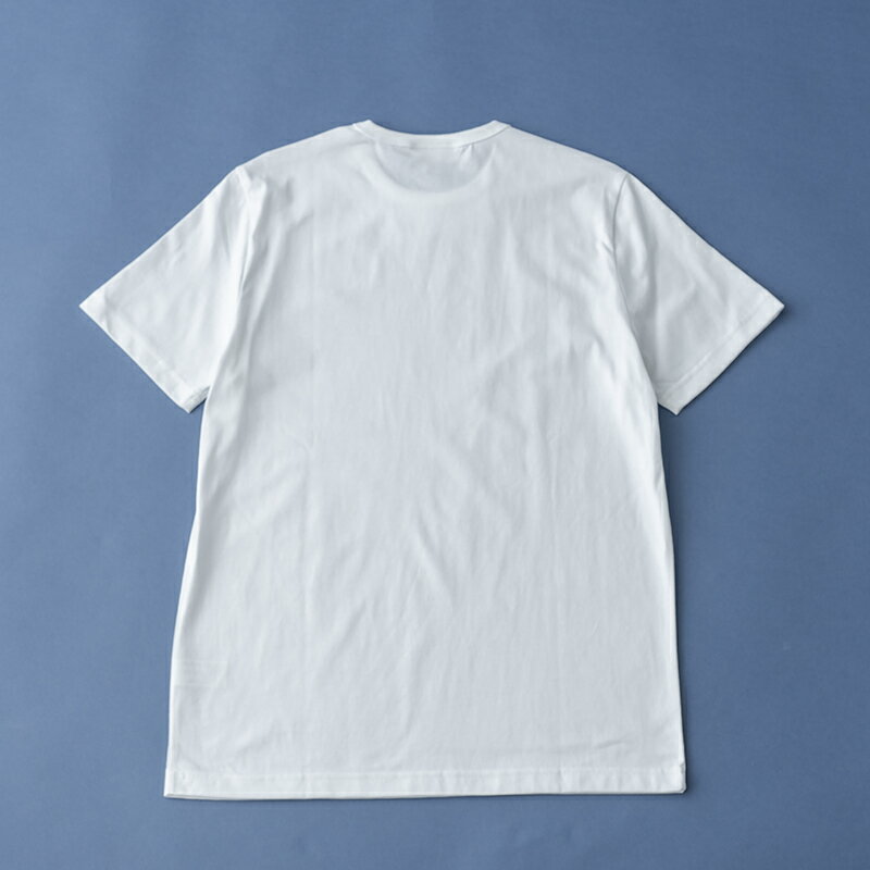 LACOSTE(ラコステ) 【22春夏】クロコ エンブレム クルーネック Tシャツ メンズ(スリムフィット) 4(Mサイズ) ホワイト TH5845L