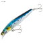シマノ(SHIMANO) エクスセンス サイレントアサシン 99SP フラッシュブースト 99mm 001 Nマイワシ XM-999V シマノ(SHIMANO) エクスセンス サイレントアサシン 99SP フラッシュブースト 99mm 001 Nマイワシ XM-999V