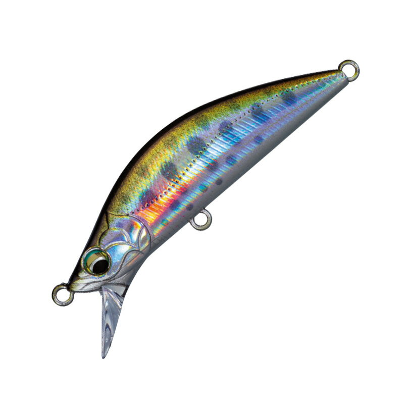 12/5 2,000OFF ᥸㡼ե եơ ǥ H 60mm #002 졼ޥ EDN-60H