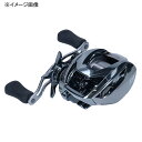 ダイワ(Daiwa) スティーズ リミテッド SV TW 1000S-XHL 左ハンドル 00630210