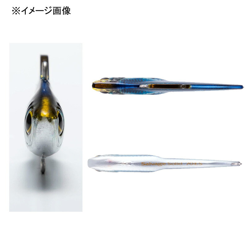 サルベージ ソリッド 60ES NRマイワシ の商品画像2枚目