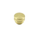 Avail(アベイル) ノブキャップ KNOB-CAP-14CNQ 14カルコン純正用 シャンパンゴールド