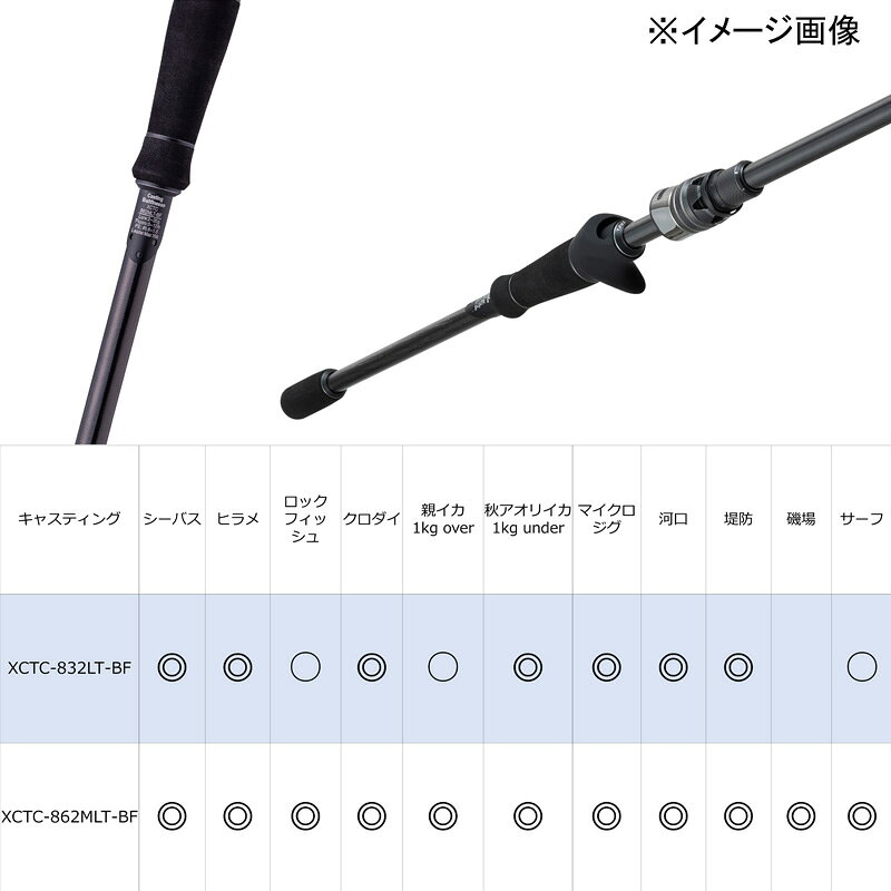 ソルティーステージ プロトタイプ ベイトフィネス (アブガルシア) プロトタイプ ベイトフィネス SaltyStageProtoT の商品画像3枚目
