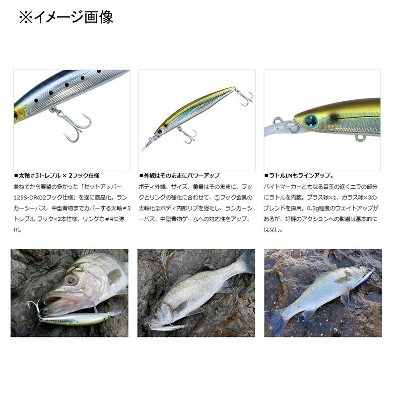 ショアラインシャイナーZセットアッパーLH125SDR CアデルKMピンクイワシ (2)