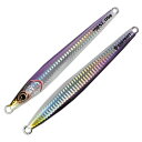 ガンクラフト(GAN CRAFT) COSO JIG SL(コソジグSL) 300g #20 カタクチパープル