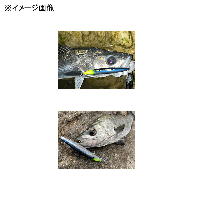ショアラインシャイナーZバーティスR140F-SSR アデルチャートヘッドイワシ の商品画像3枚目