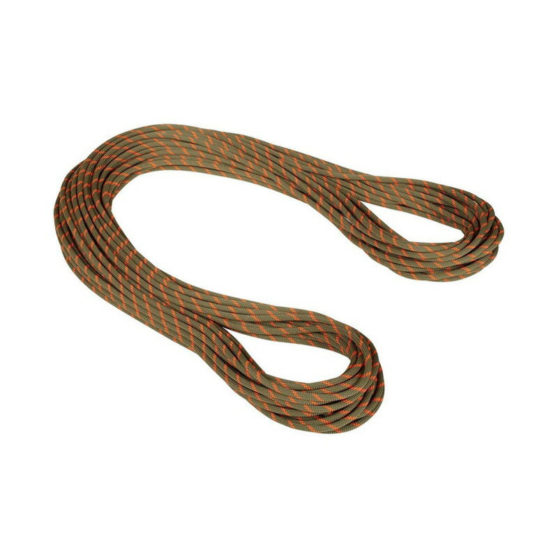 MAMMUT(}[g) y23tāz8.0 Alpine Dry Rope 50m 11240(Dry Standard boa) 2010-04350