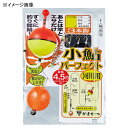 がまかつ(Gamakatsu) 小鮎パーフェクト仕掛 河川用 鈎2.5ハリス0.6 白/金 42925-2.5-0.6