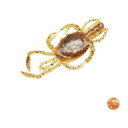 reins(レインズ) レインズクラブ SW 2.8インチ 413 チカチカオレンジ