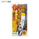 がまかつ(Gamakatsu) 堤防タチウオ仙人 2本仕掛 42-891(2L) 42891-4-48