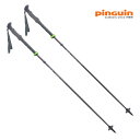 PINGUIN(ピングイン) COMPACT FL FOAM(コンパクト FL フォーム) 110〜130cm グレー 808186