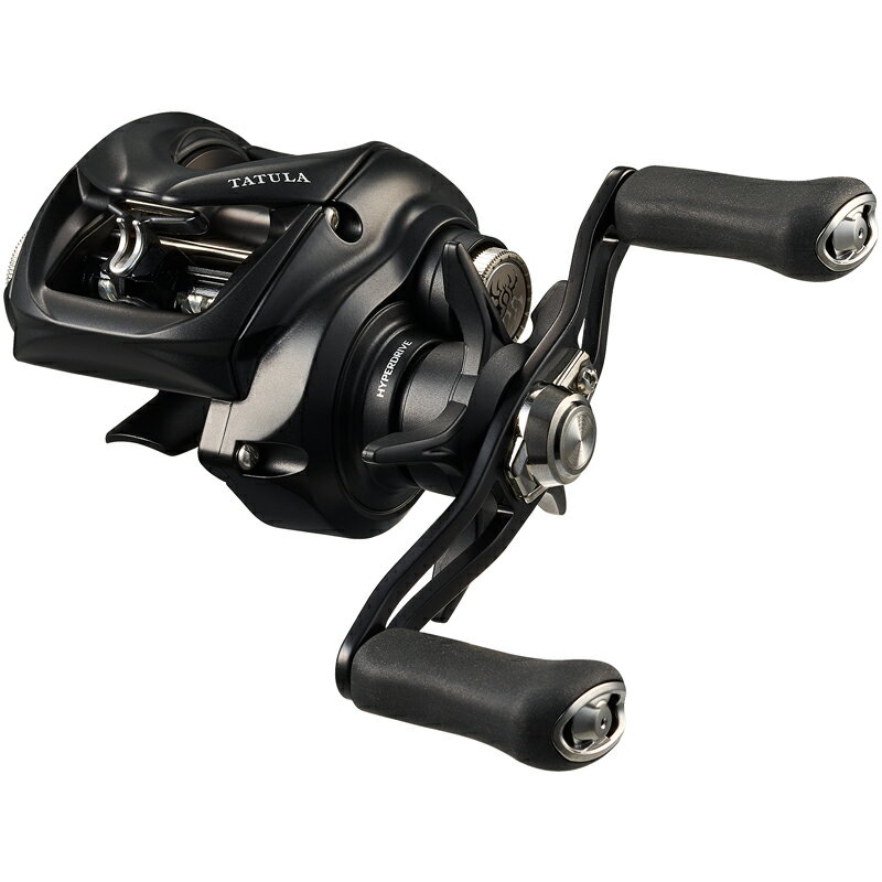 (Daiwa) 24ȥ TW 100XHL ϥɥ 00630165