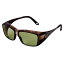 Zeque by ZEAL OPTICS( Х 륪ץƥ) OPA() ꥢ֥饦 ꡼ F-1913